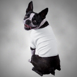 Honden Shirtjes - Learn More